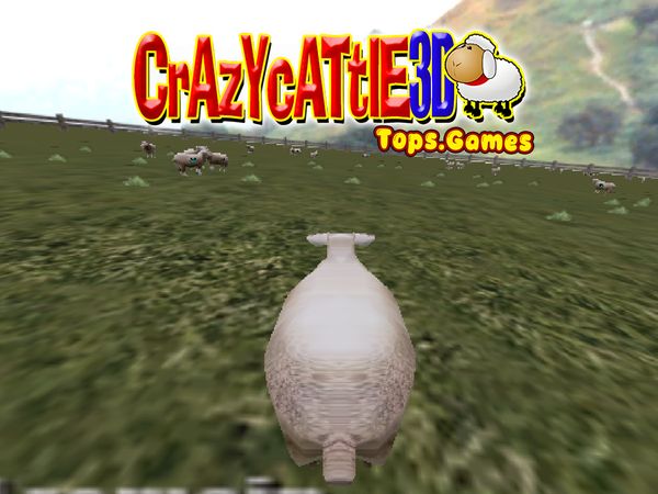 Play Crazy Cattle 3D