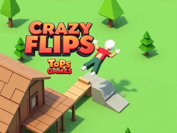Play Crazy Flips 3D