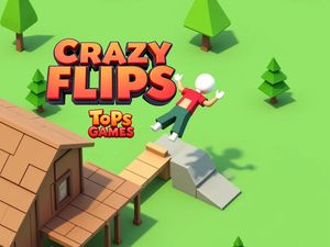 Play Crazy Flips 3D